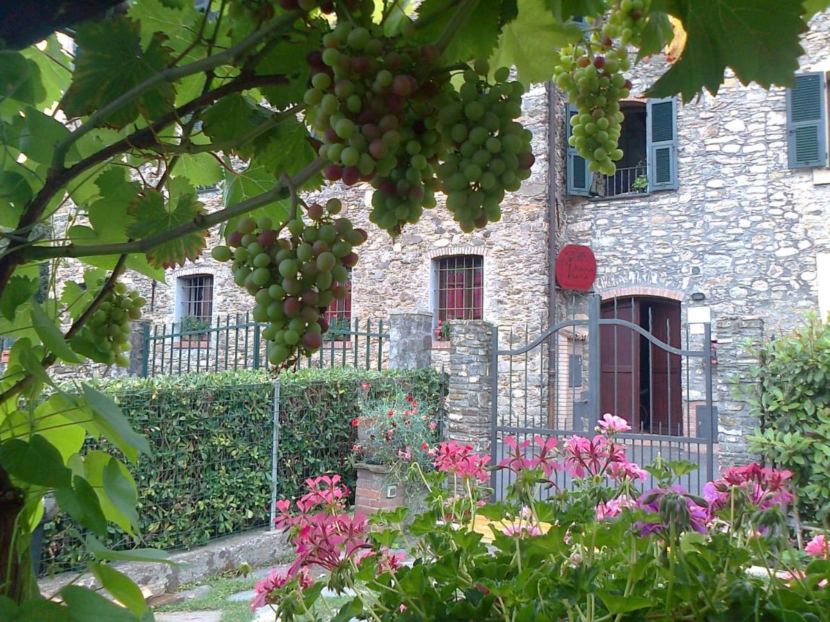 Vila Agriturismo A Veggia Vigna Garlenda Exteriér fotografie